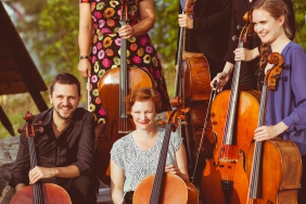 cello-136