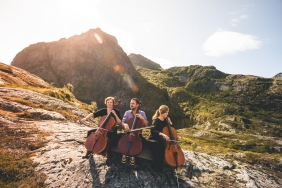 cello-423