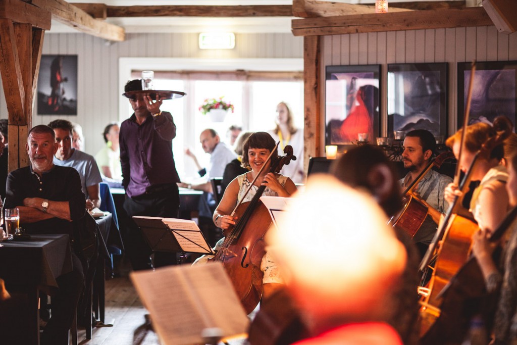 Cello-290